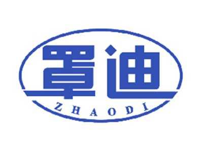 罩迪