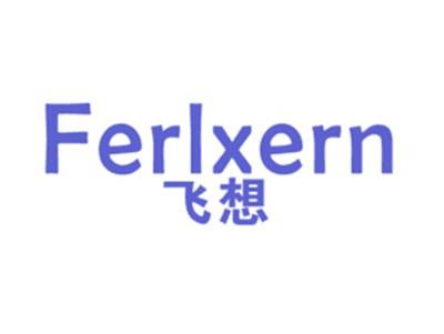 飞想FERLXERN