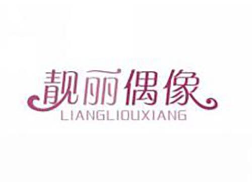 靓丽偶像