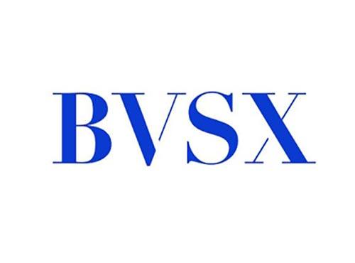 BVSX