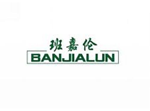 班嘉伦