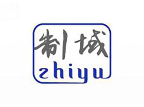 制域