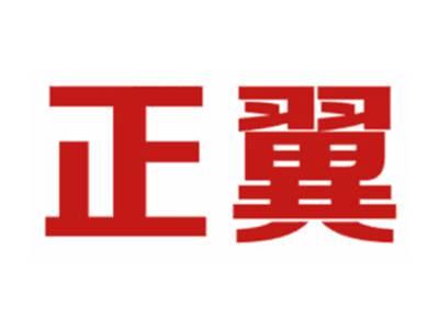 正翼