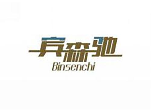 宾森驰