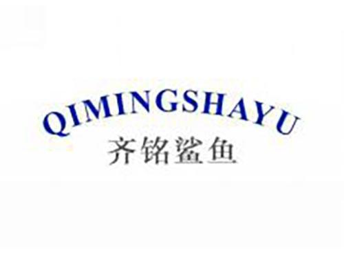 齐铭鲨鱼