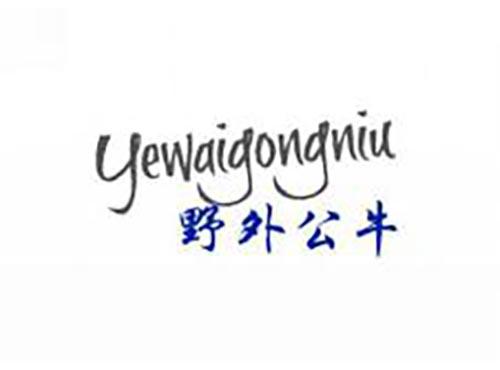 野外公牛