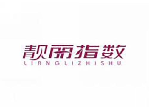 靓丽指数