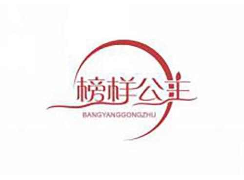 榜样公主