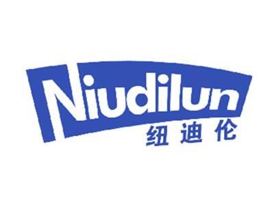 纽迪伦
