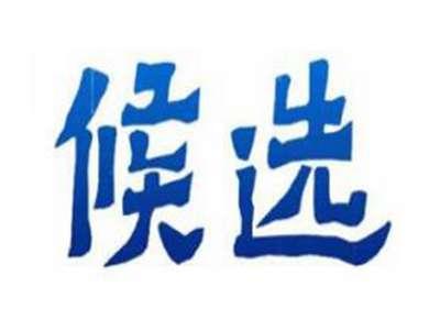 候选