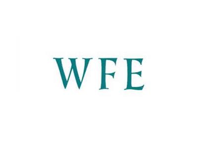 WFE