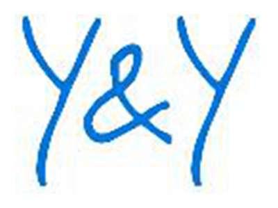 y&y