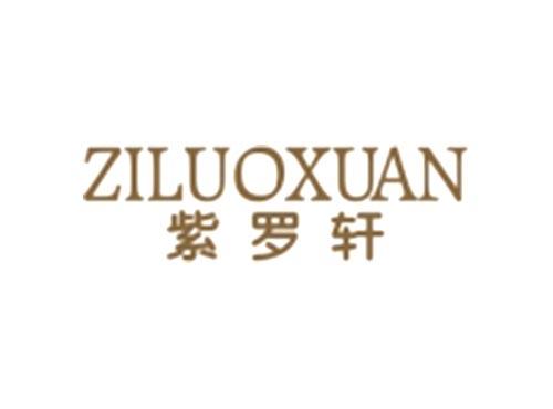 紫罗轩ZILUOXUAN