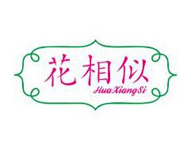 花相似