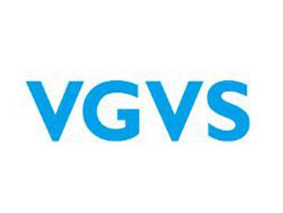 VGVS
