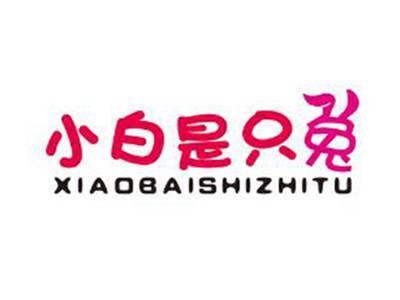 小白是只兔