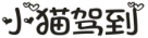 小猫驾到