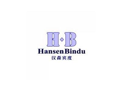 汉森宾度HansenBinduH.B