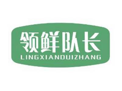 领鲜队长