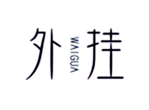 外挂