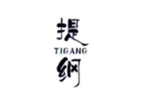提纲