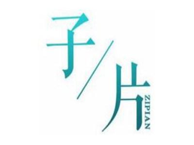 子片