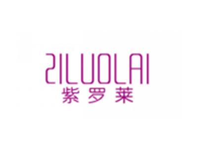 紫罗莱ZILUOLAI