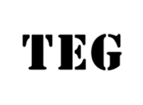 TEG