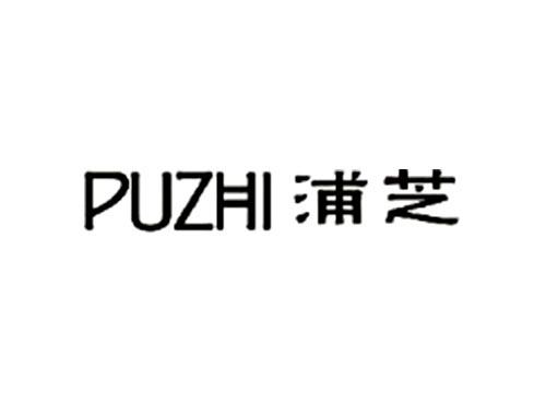 浦芝     PUZHI