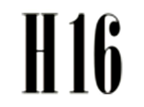 H16