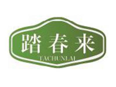 踏春来