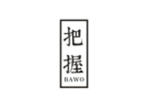 把握