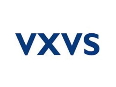 VXVS