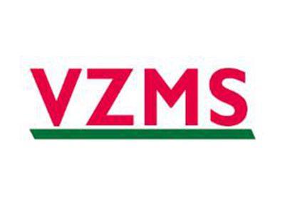 VZMS