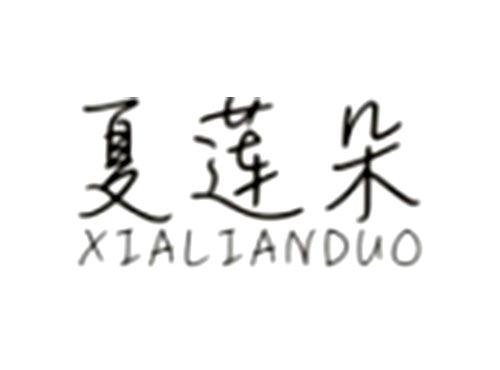 夏莲朵XIALIANDUO