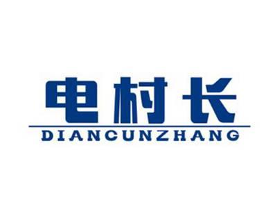 电村长