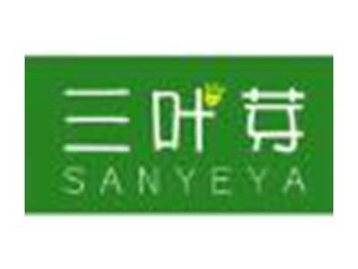 三叶芽SANYEYA