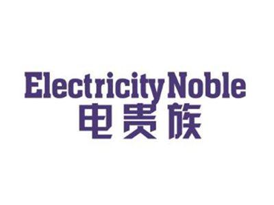 电贵族ELECTRICITYNOBLE