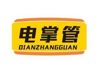电掌管