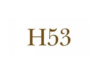 H53