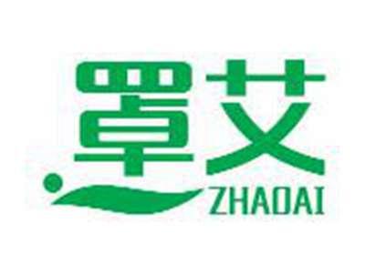 罩艾