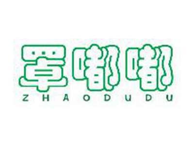 罩嘟嘟
