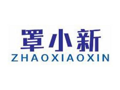 罩小新