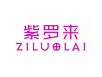 紫罗来ZILUOLAI