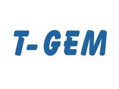 T-GEM
