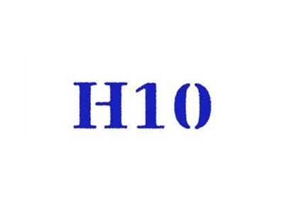 H10