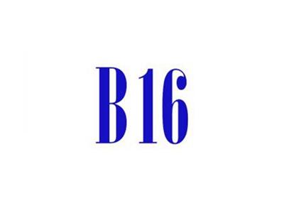 B16