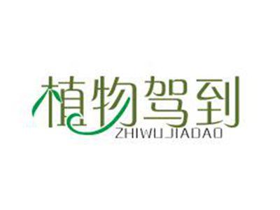 植物驾到