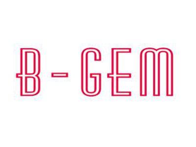 B-GEM