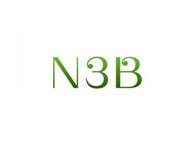 N3B